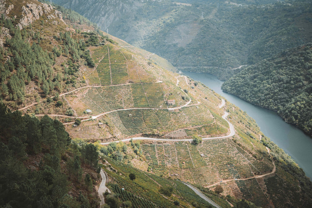 A road winding along the terraced slopes of the Sil canyon