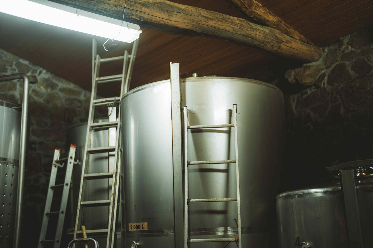 Steel tanks in the bodega cellar