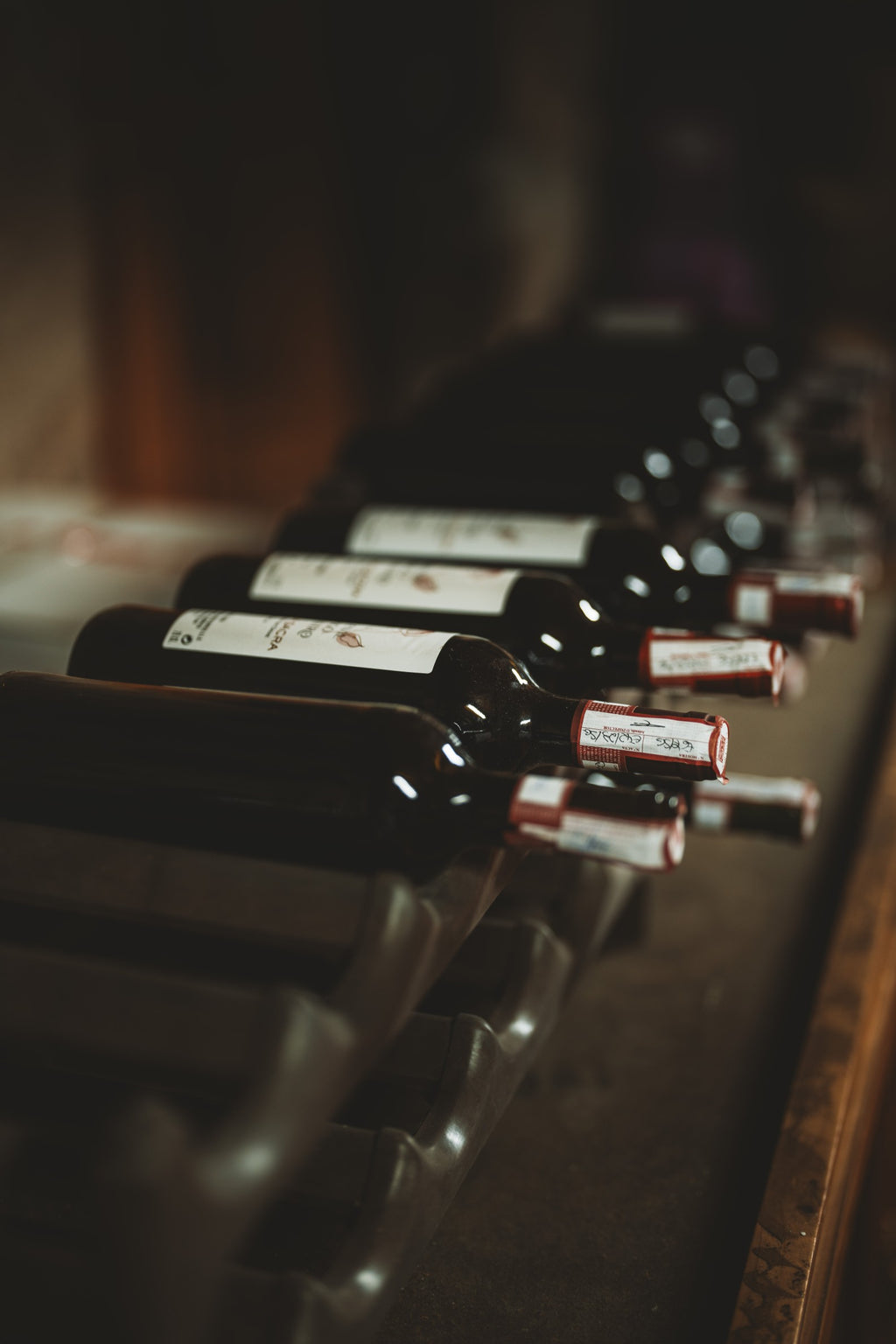 Bottles of wine lying in racks in the bodega cellar