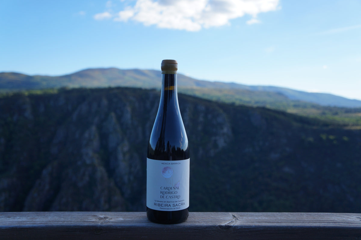 Bottle of Cardenal Rodrigo de Castro Barrica 12 meses, chestnut barrel-aged Mencía red wine, 12 months in barrel