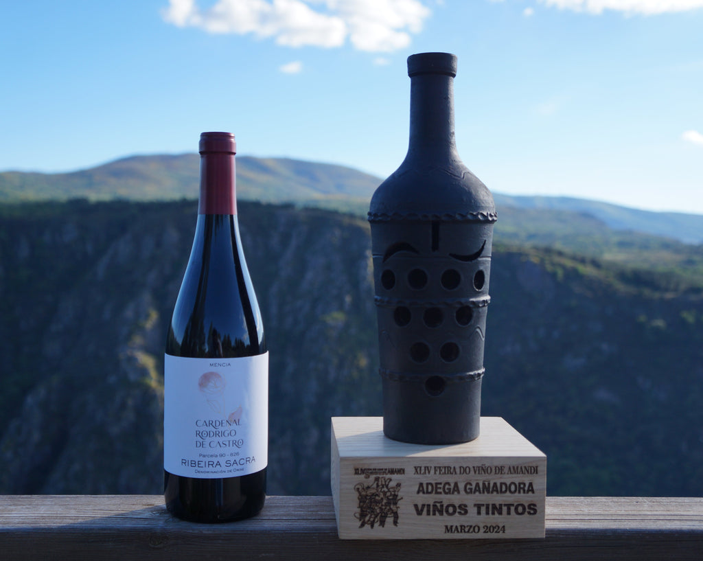 A bottle of Cardenal Rodrigo de Castro red wine beside an award trophy, above the Sil canyon