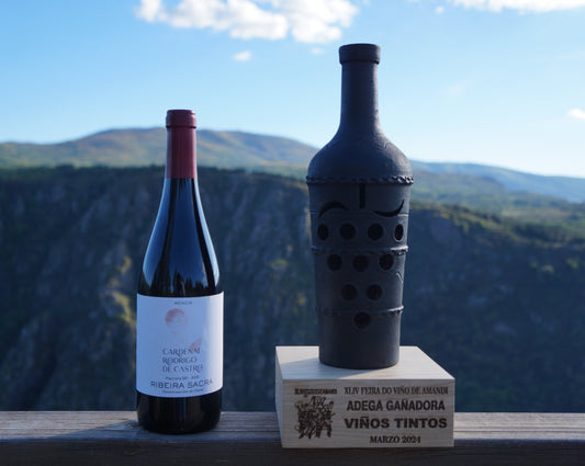 Ribeira Sacra Tasting Gift Set: bottle of Cardenal Rodrigo de Castro Tinto 2023, stemless wine glass, and cork-back coaster from Bodega Soutelo