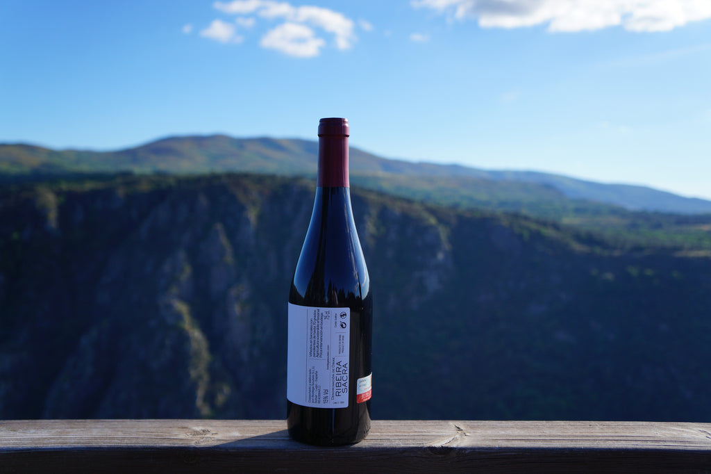 Back label of a Cardenal Rodrigo de Castro red wine bottle, with the Sil canyon behind