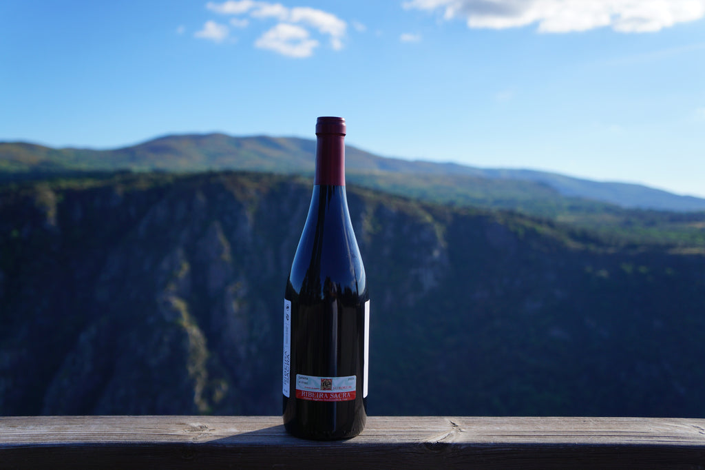 Back label of a Cardenal Rodrigo de Castro red wine bottle above the Sil canyon