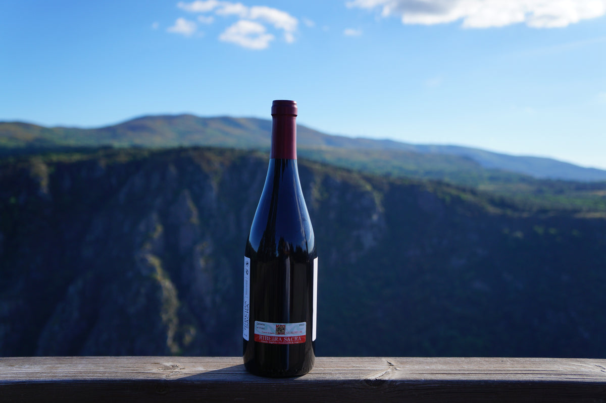 Back label of a Cardenal Rodrigo de Castro red wine bottle above the Sil canyon