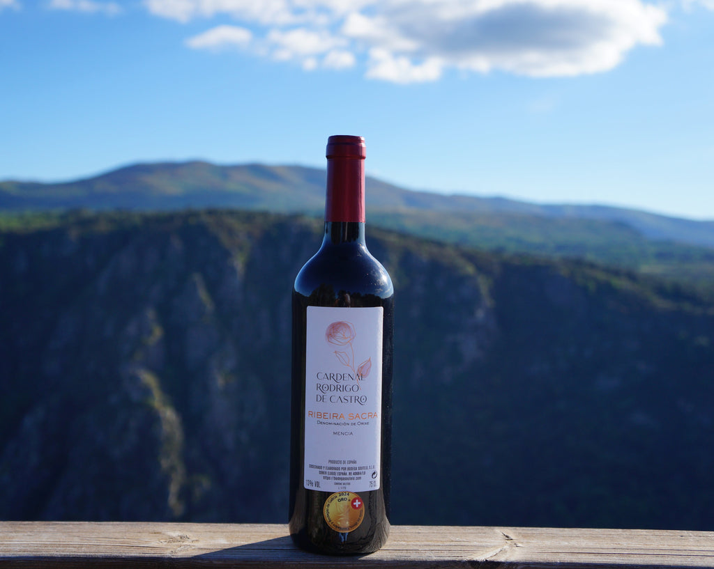 Bottle of Cardenal Rodrigo de Castro Mencía red wine on a wooden rail overlooking the Ribeira Sacra canyon