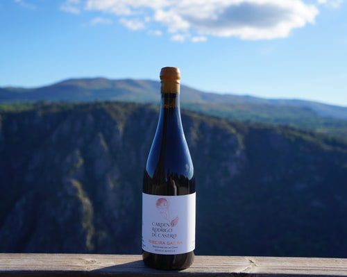 Bottle of Cardenal Rodrigo de Castro Barrica 7 meses, chestnut barrel-aged Mencía red wine