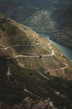 Terraced vineyards on the steep sides of the Sil canyon